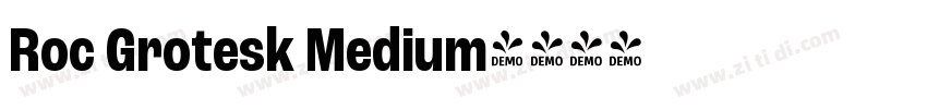 Roc Grotesk Medium字体转换
